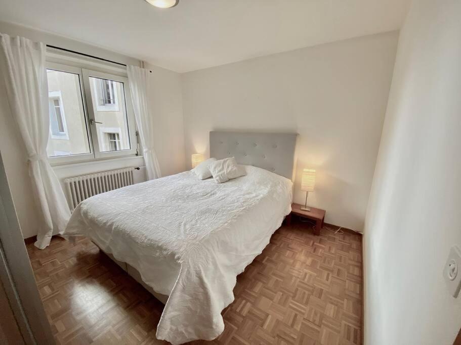 Comfortable, Very Well Located Between Train Station And Lake! ローザンヌ エクステリア 写真